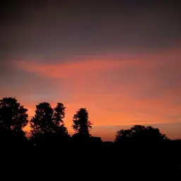 Ashu Kumar