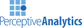 Perceptive Analytics Private Limited
