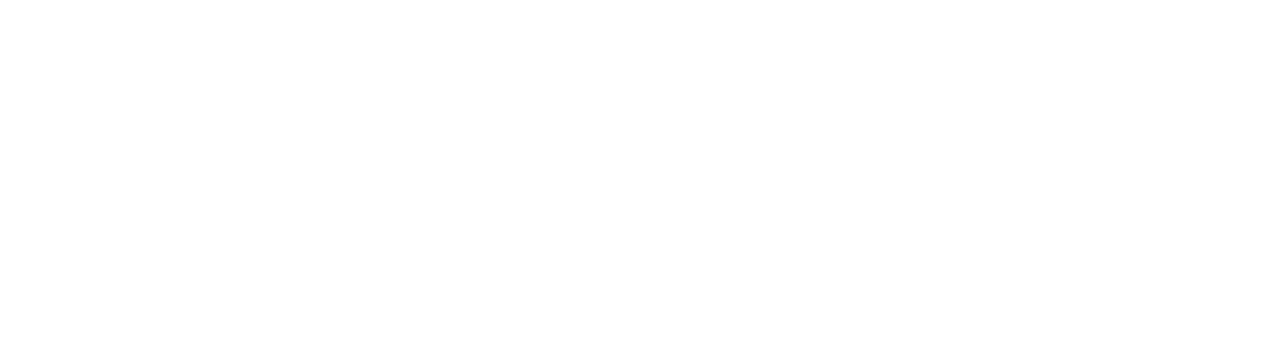 Wootzwork Labs
