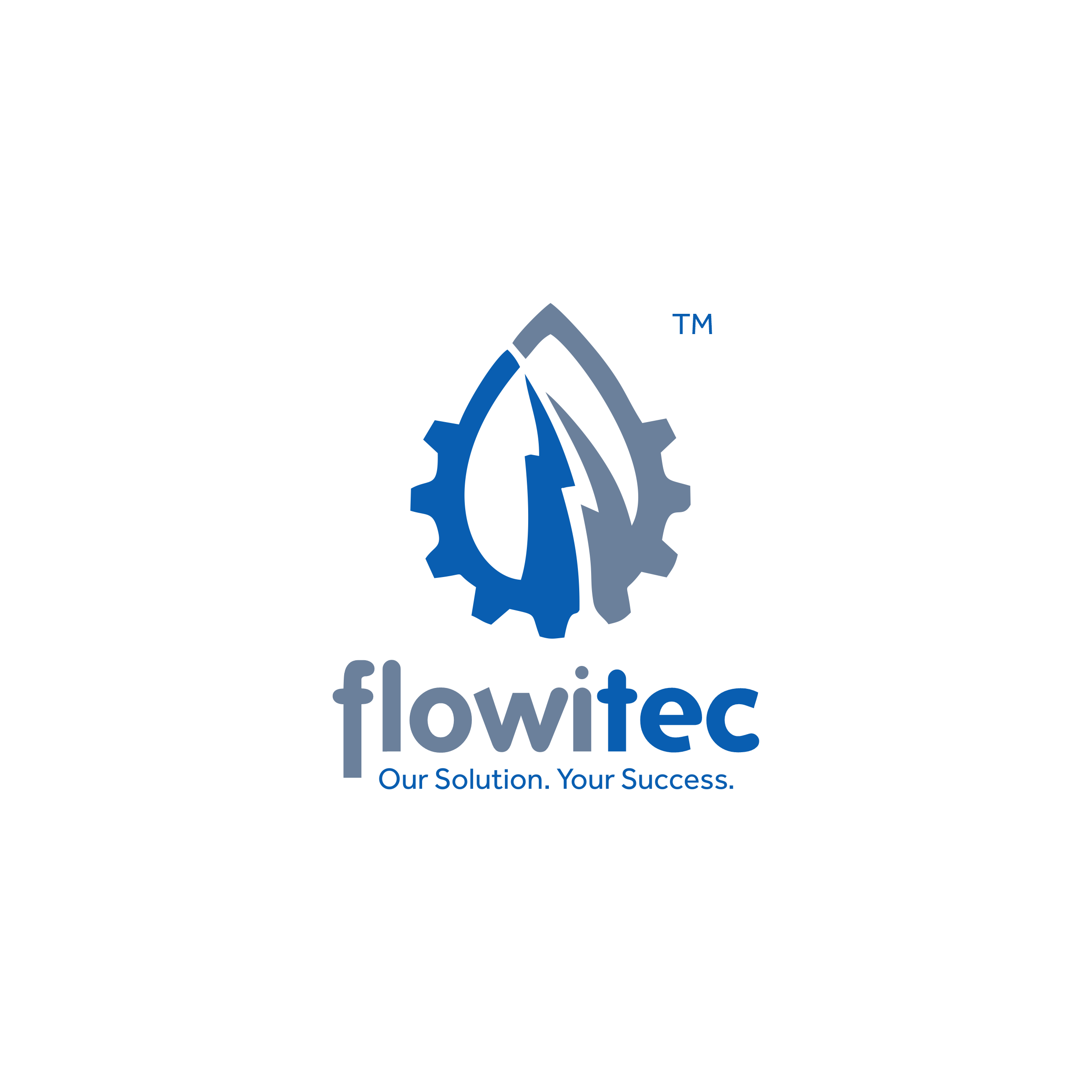 Flowitec Group Ghana Limited