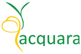 Acquara Management Consultant