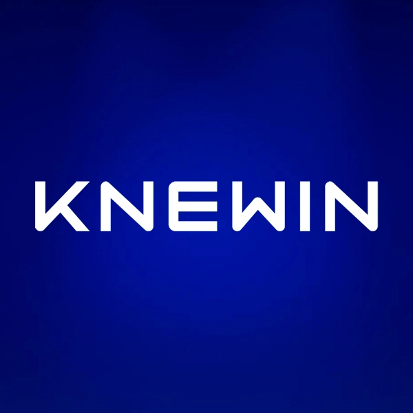 Knewin