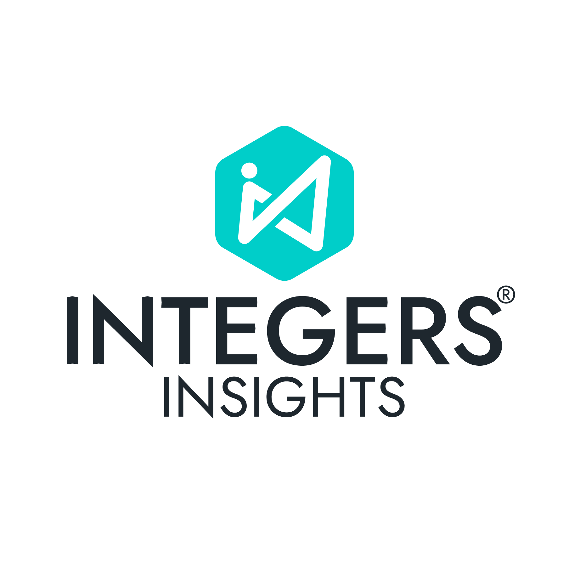 Integers Insights