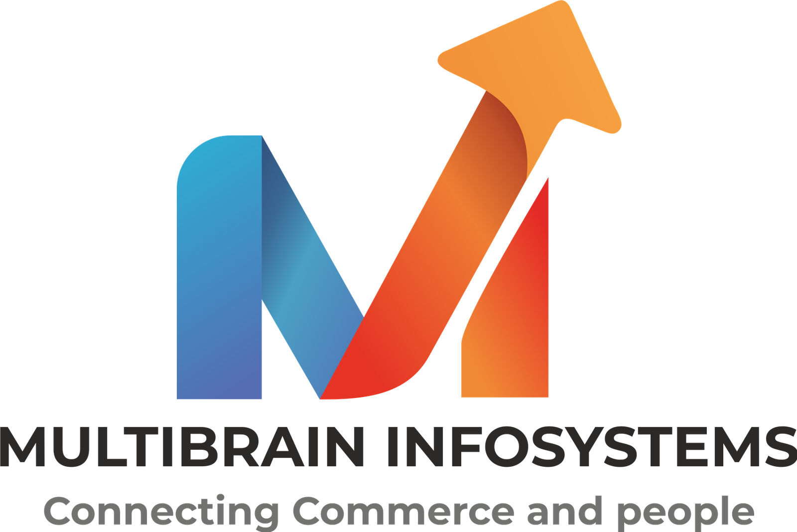 Multibrain Infosystems Private Limited