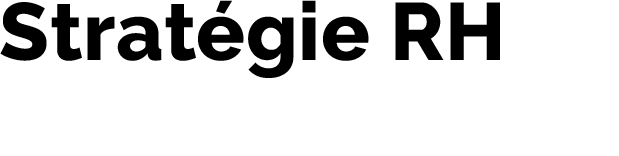 French Consulting