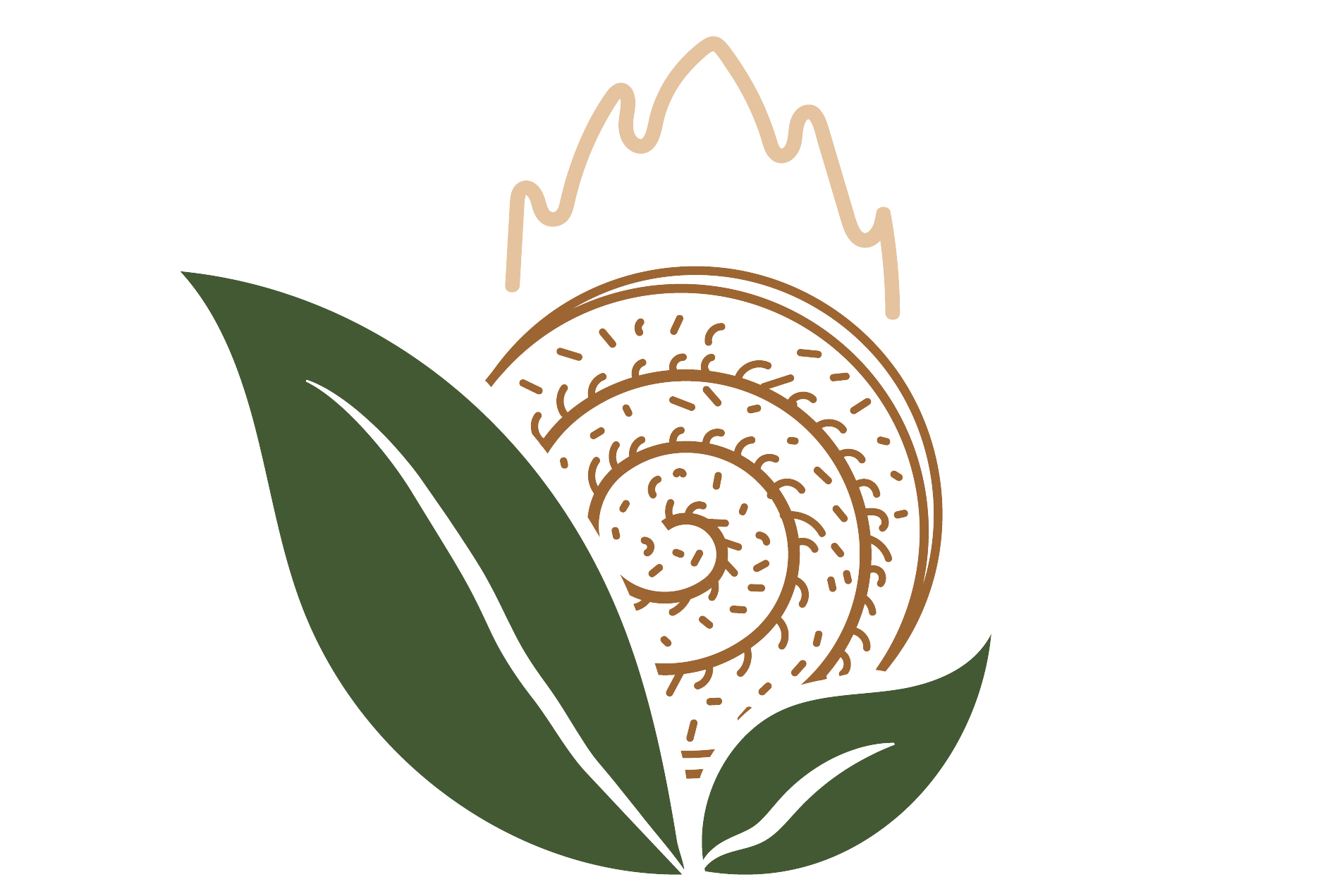 Shubhshree Biofuels Energy Limited