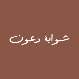 SHAWAYA DAAOUN RESTAURANT L.L.C.