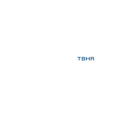 True Blue HR Consultants