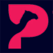 Pink Camel Recruitment