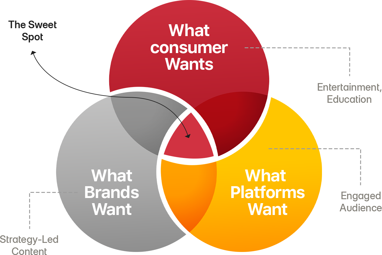 Brand Scale-Up Inc