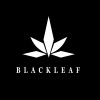 BLACK LEAF