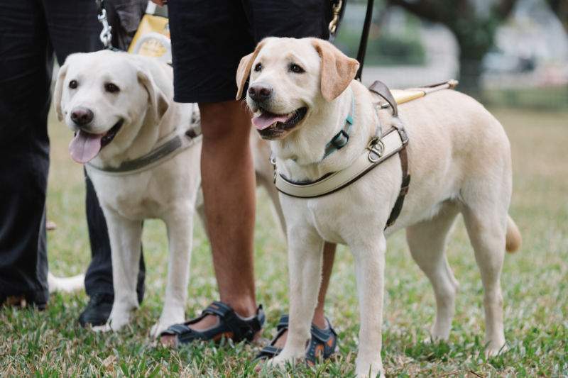 Guide Dogs Singapore Ltd