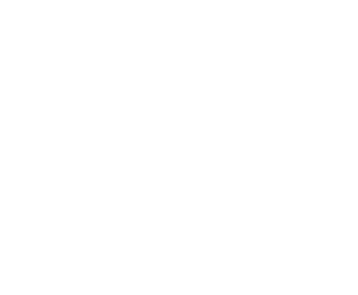 MLSE (Maple Leaf Sports & Entertainment Partnership)