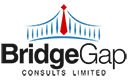 Bridgegap Consults Limited