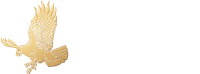 Eagle Technology
