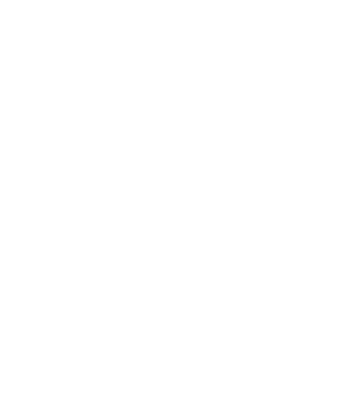 APT Travel Group