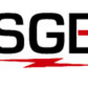 Sge Controls And Switchgear Private Limited