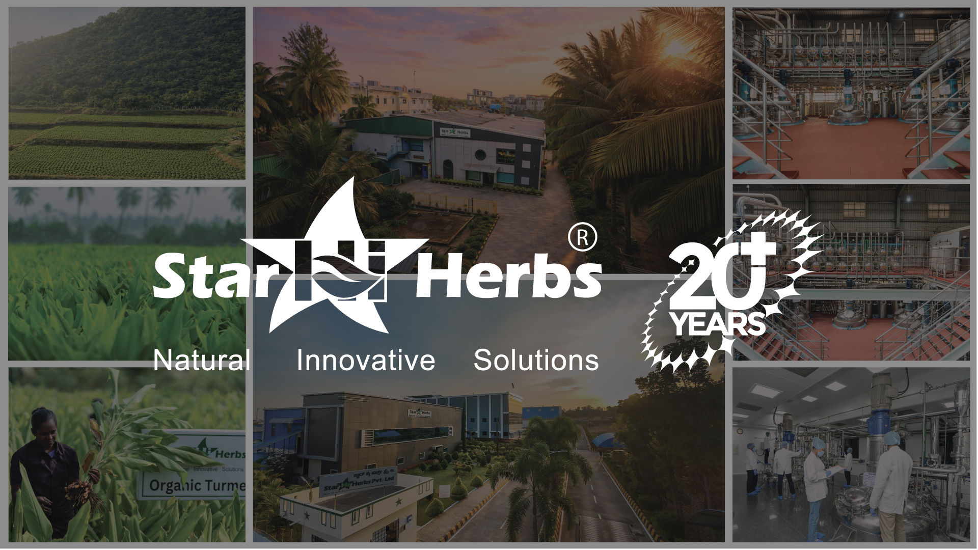 Star Hi Herbs Pvt Ltd