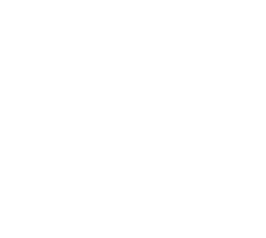 BFG Global Consulting, LLC.