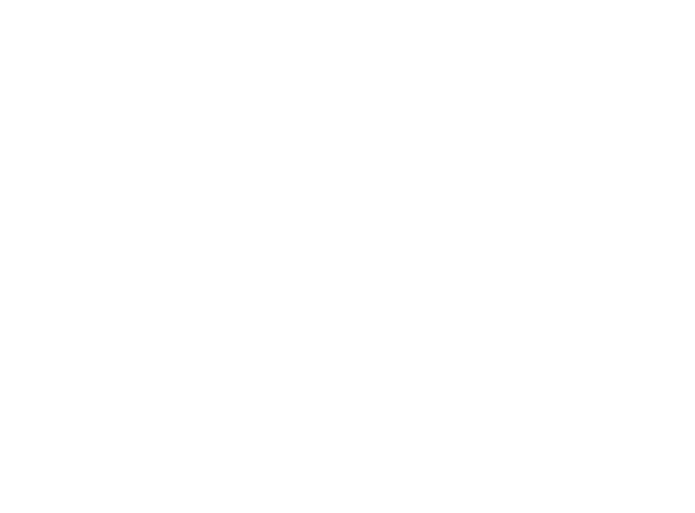 Volga Partners
