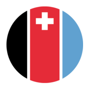 Rotzinger Group