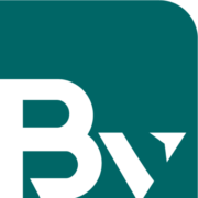 Brains Valley Company