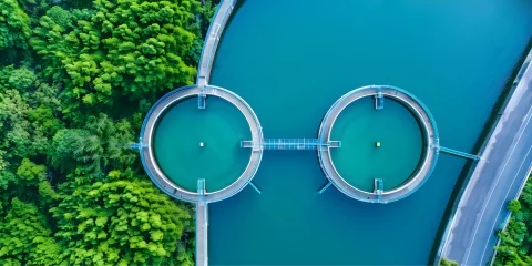 Espalier.ai
