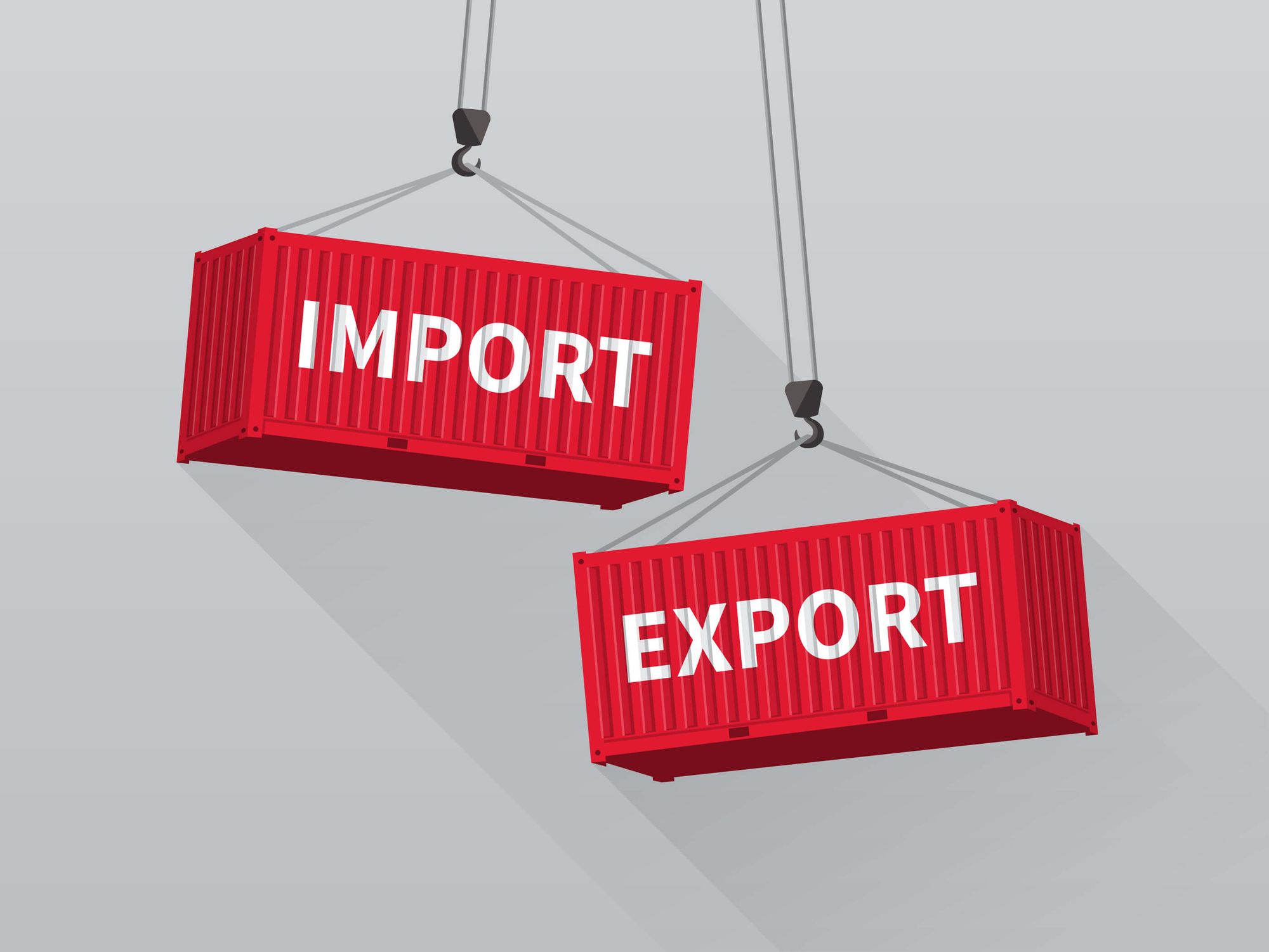 Fanz Export Import