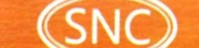 Shantiniketan Nursing College logo