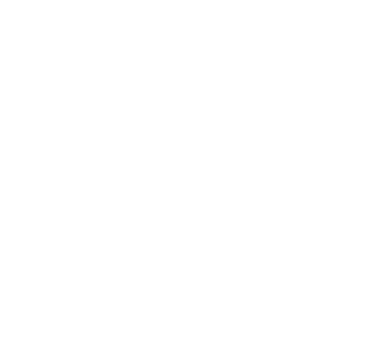 Som-Lalit Institute of Computer Applications logo