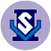 Vidyasagar Infotech College logo