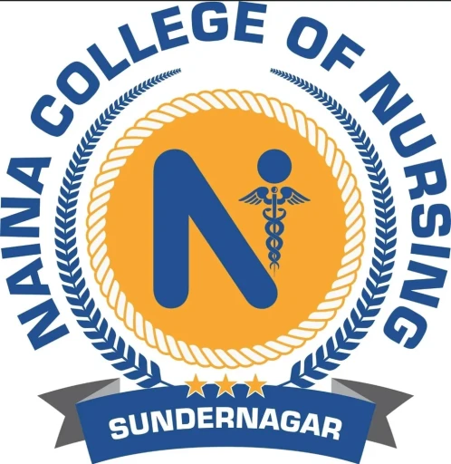 NAINA College Of Nursing logo