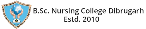 B.Sc. Nursing College, Dibrugarh logo