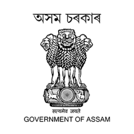 Government Model College, Borkhola logo