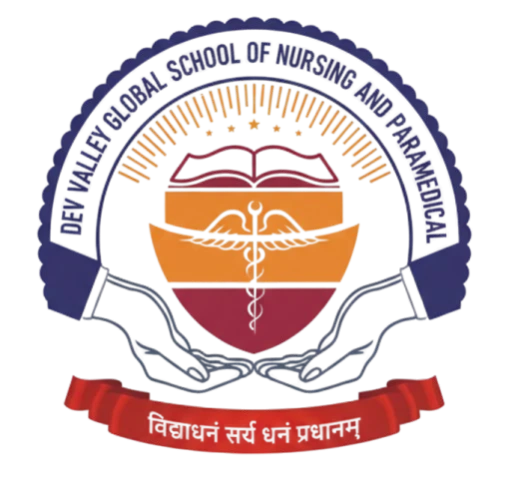 Dev Valley Global School of Nursing and Paramedical logo