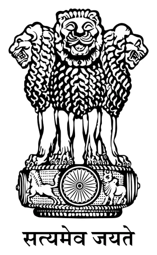 Rajkumari Amrit Kaur College of Nursing logo
